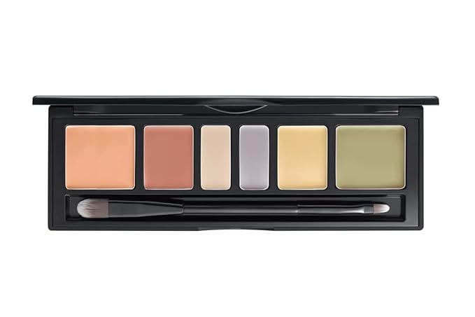 JUNG SAEM MOOL Artist Concealer Palette - 2 Types [Blend]